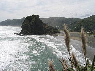 Lion Rock, Piha (en:Piha)