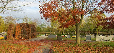 Le cimetière.