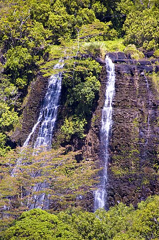 <span class="mw-page-title-main">ʻŌpaekaʻa Falls</span> Waterfall in Wailua River in Wailua River State Park on Kauai, Hawaii