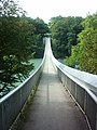 Passerelle du Lignon