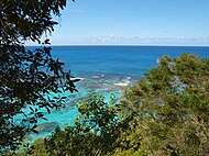 Playa Sardinera