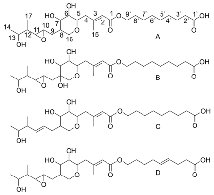 Figure 2. The structure of pseudomonic acid A-D, labeled A to D, respectively Pseudomonic acid A-D.png