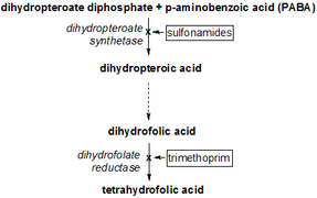 Put sinteze tetrahidrofolata