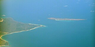 <span class="mw-page-title-main">Waterhouse Island (Tasmania)</span> Island in Tasmania, Australia