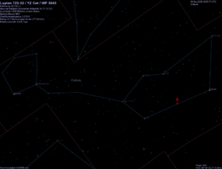 <span class="mw-page-title-main">YZ Ceti</span> Star in the constellation Cetus