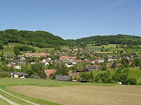 Dorfansicht von Zuzgen