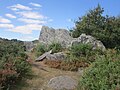 Les landes du Liscuis vues depuis le GR 341 vers Lann Falc'h.