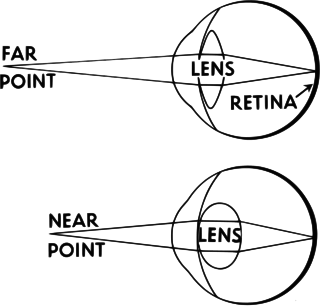 <span class="mw-page-title-main">Accommodation (vertebrate eye)</span> Focusing ability of eye