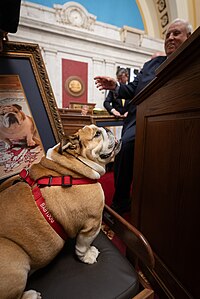 A photo of Gov. Jim Justice's dog, Babydog, during the State of the State Address in 2024.