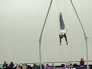 <span class="mw-page-title-main">Donnell Whittenburg</span> American artistic gymnast