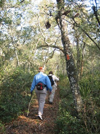 <span class="mw-page-title-main">Florida Trail</span> A US National Scenic trail