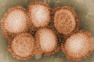 <span class="mw-page-title-main">Flu season</span> Recurring periods of influenza