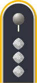 Dienstgradabzeichen auf der Schulterklappe der Jacke des Dienstanzuges für Luftwaffenuniformträger.