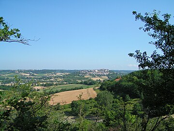 Paisatge de Bas Carcin : Lausèrta.