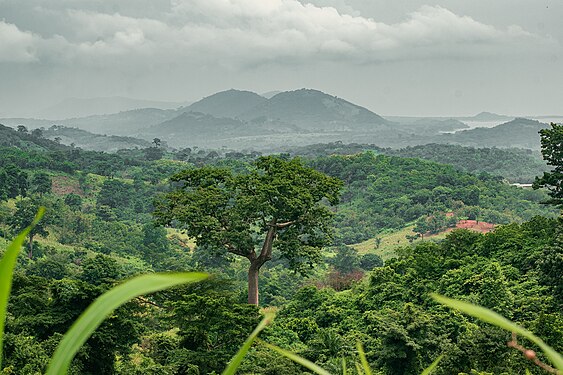 Mountains of Amedzofe Photographer: User:Penwills