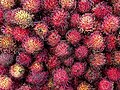 125 Rambutão uploaded by ArionStar, nominated by RodRabelo7,  14,  0,  0