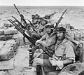 II. Dünya Savaşı'nda Kuzey Afrika kampındaki zırhlı araçta SAS askerleri