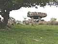 The Giant's Griddle, Tawnatruffaun, Ierland