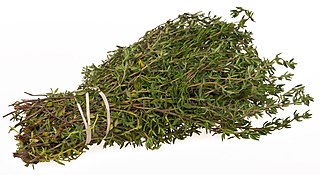 <span class="mw-page-title-main">Thyme</span> Herb