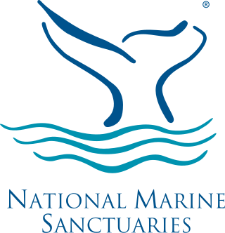 <span class="mw-page-title-main">National Marine Sanctuary</span> Zone in US waters designated for special protection