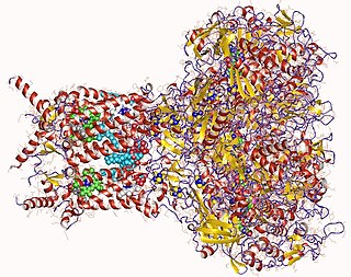 <span class="mw-page-title-main">Formate dehydrogenase</span>