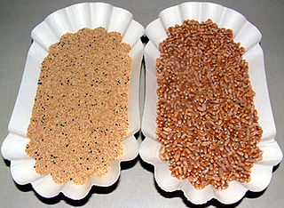 <span class="mw-page-title-main">Amaranth grain</span> Edible grain of the Amaranth genus