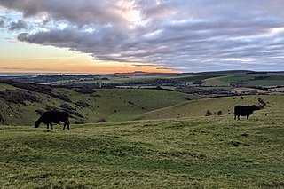 <span class="mw-page-title-main">Beeding Hill to Newtimber Hill</span>