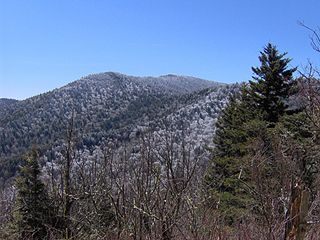 <span class="mw-page-title-main">Mount Guyot (Great Smoky Mountains)</span> Mountain in the southeastern United States