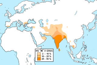 <span class="mw-page-title-main">Haplogroup H (Y-DNA)</span> Human Y-chromosome DNA haplogroup