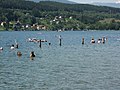 People swimming in the Millstätter See