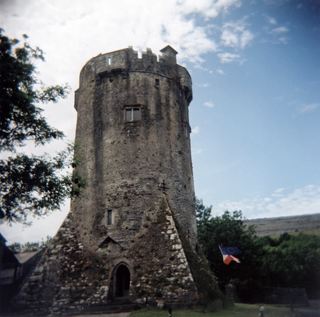 <span class="mw-page-title-main">Newtown Castle</span> Tower house, County Clare, Ireland