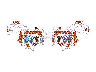 <span class="mw-page-title-main">IMPDH/GMPR family</span>