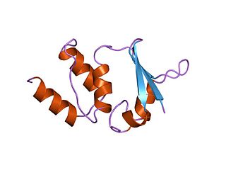 <span class="mw-page-title-main">Potassium channel tetramerisation domain</span>