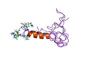 PDB 1zto EBI.jpg