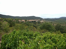 A general view of Quintillan