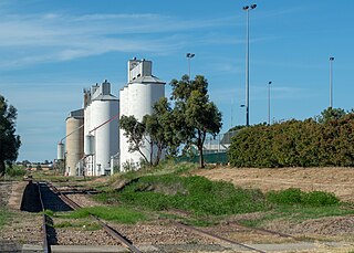 <span class="mw-page-title-main">Roseworthy, South Australia</span> Town in South Australia