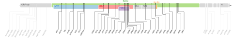 Les mutations du variant Omicron sur une carte génomique du SARS-CoV-2