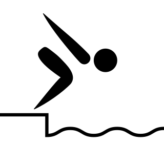 <span class="mw-page-title-main">1983 NCAA Division I Men's Swimming and Diving Championships</span> American college aquatic sports competition