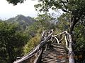 大坑登山步道