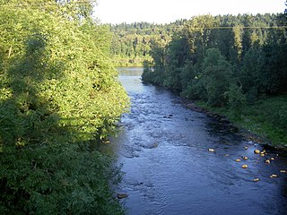 <span class="mw-page-title-main">Tualatin River</span> River in Oregon, United States