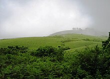 Vagamon meadows.JPG