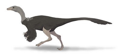 Archaeornithomimus asiaticus restoration