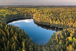 Bisajärvi in evening light from the southwest in Sipoonkorpi, Vantaa, Finland, 2021 May