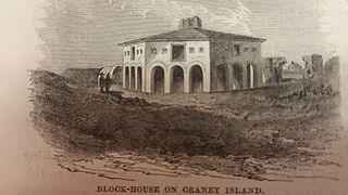 <span class="mw-page-title-main">Craney Island (Virginia)</span> Island in Virginia, United States