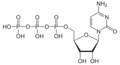 Skeletal formula of cytidine triphosphate as an anion (3- charge)