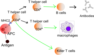 <span class="mw-page-title-main">Danger model</span>