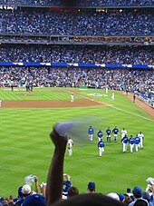 A fan waves a rally towel during the 2008 National League Championship Series (NLCS). MLB playoffs.jpg