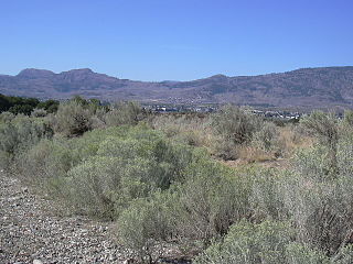 <span class="mw-page-title-main">Okanagan Desert</span> Semi-arid shrubland area in British Columbia, Canada