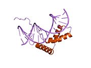 PDB 1j47 EBI.jpg