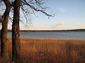 der Schwielowsee, vom Petzower Park aus gesehen